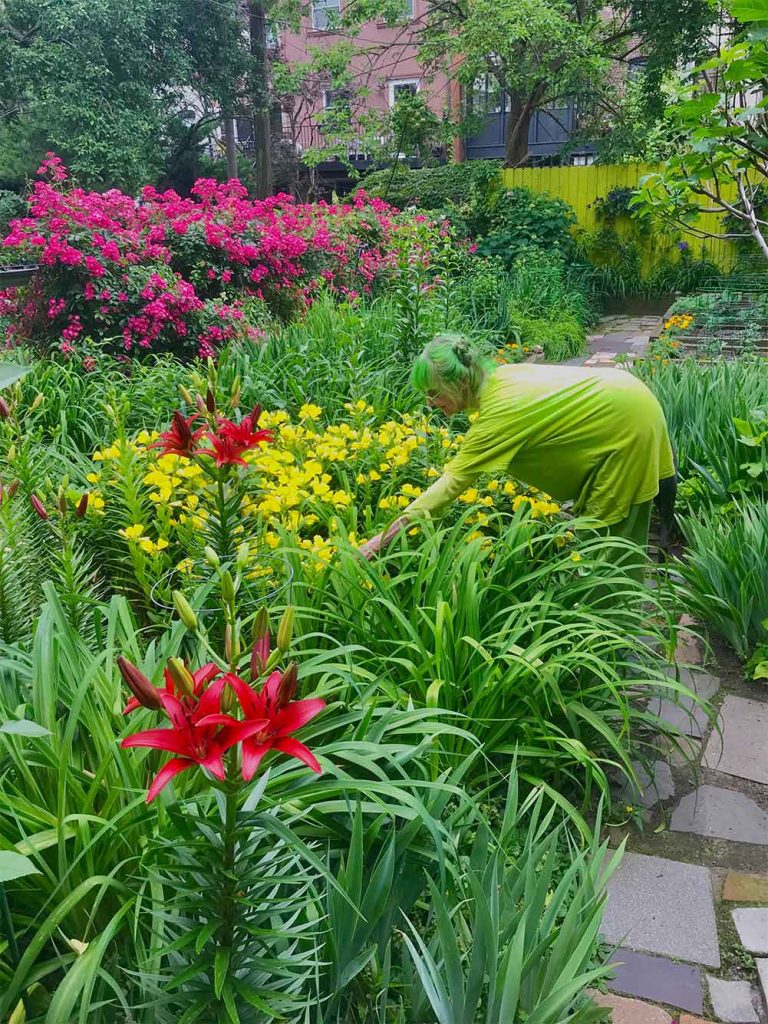 Green Lady, Green Thumb