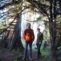 FEVRMOON - 